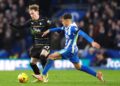 Brighton and Hove Albion boss hopes for more time with Ayari