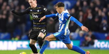 Brighton and Hove Albion boss hopes for more time with Ayari