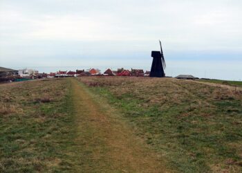 Council explains paused nature reserve fence plans