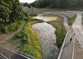 Southern Water and council agree deal to cut storm overflows