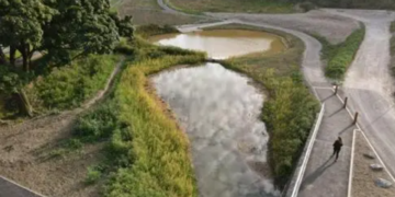 Southern Water and council agree deal to cut storm overflows