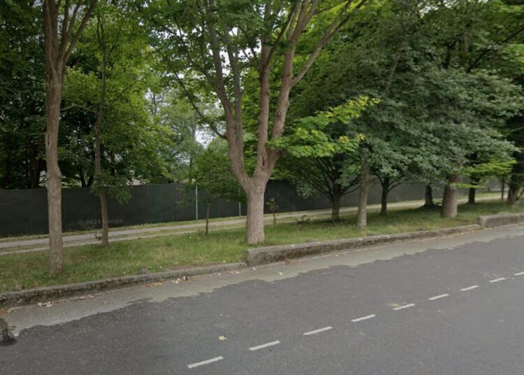 Man died after struggling with phone signal during Pride, meeting told