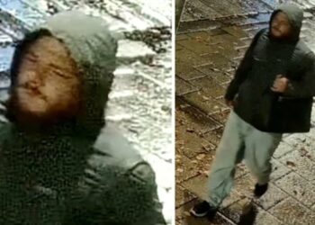 Suspect sought after sex attack in Brighton yesterday